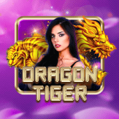 Dragon Tiger queen ph apk live casino